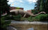 Diplodicus