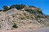 Fossil Layer in Dakota West of Hanksville