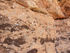 Marine Fossils, Hermosa Formation